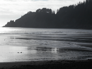 Screen Shot 2016-05-30 at 2.21.51 PM