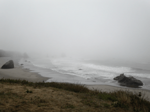 Screen Shot 2016-05-30 at 2.30.37 PM